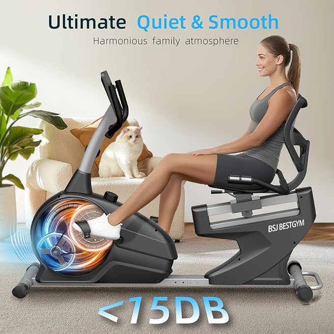 Recumbent Exercise Bike for Home, Magnetic Staionary Bike for Seniors/Adults with Adjustable Seat, 8-level Resistance, 350LB Capacity, LCD Monitor & Pulse Sensors