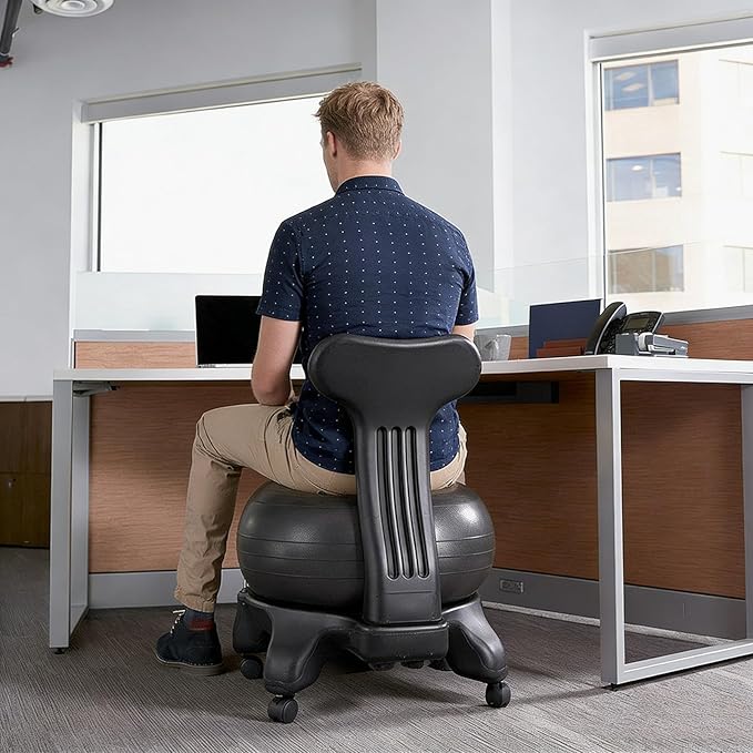 Balance Ball Office Chair with Back Support & Wheels, Ergonomic Stability Ball Chair for Desk Sitting, Yoga Ball Seat for Active Sitting(Style D)