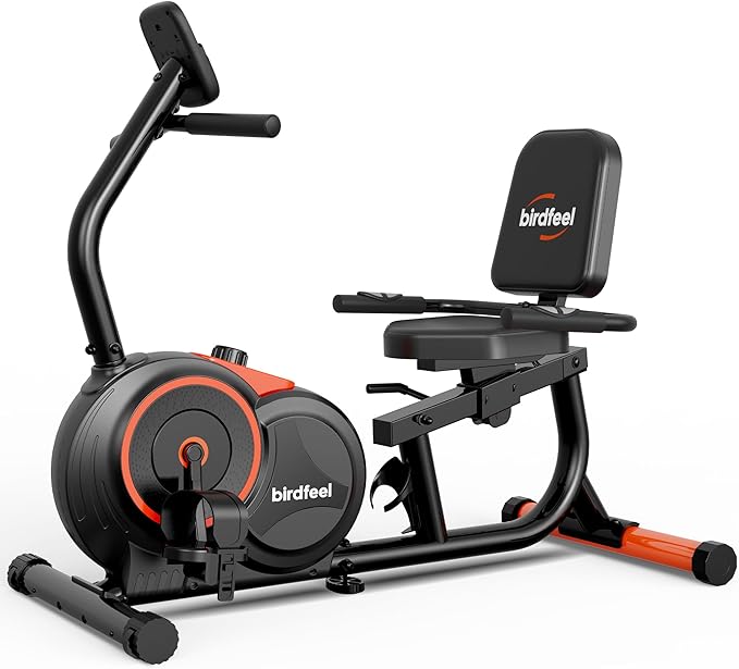 Recumbent Exercise Bike for Home,Recumbent Stationary Bikes for Adults & Seniors,Load Capacity of 400 pounds,Equipped with 16 Adjustable Gears, and Soft Adjustable Seats