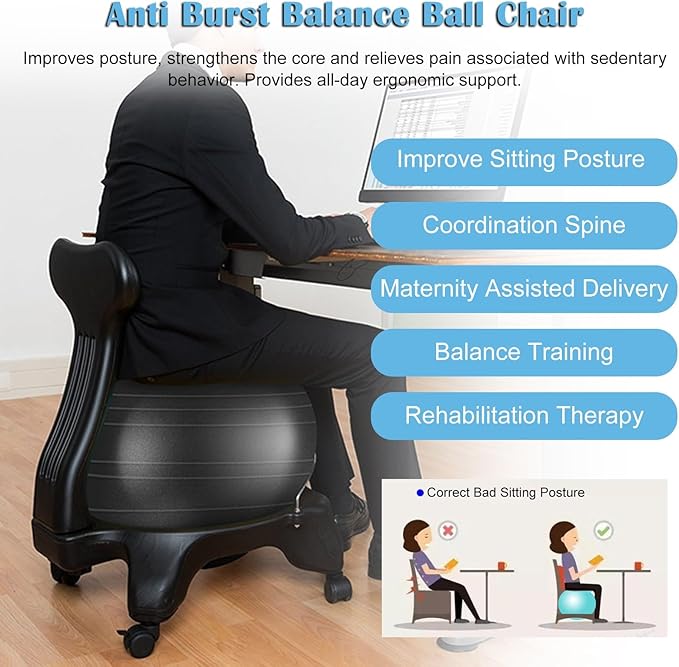 Stability Ball Desk Chair with Wheels & Back Support, Large 55cm Anti-Burst Balls Ergonomic Chairs/Medicine Ball Chair Stand 660 Lb, Adults Students Seniors Exercise Ball Chairs