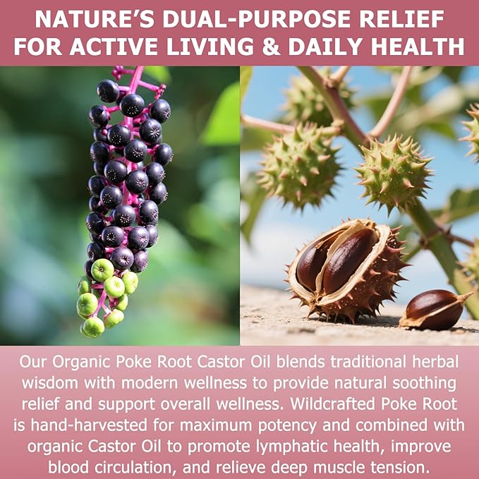 Poke Root Castor Oil Organic - 2 Fl Oz - Lymphatic Support Massage Liquid, Supports Boils, Fibroids, Cysts, Swollen Lymph Nodes, Breast & Joint Health, Natural Deep Tissue Relief Drops