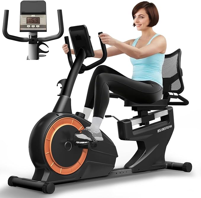Recumbent Exercise Bike, Quiet Recumbent Stationary Bike for Adults & Seniors, Supports 350LBS, Magnetic Stationary Bike with 8-Level Resistance, Heart Rate Handle & LCD Display