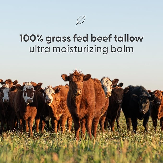 100% Unscented Grass Fed Beef Tallow for Skin, Body and Face | Fragrance Free Moisturizing Honey Balm with Cold-Pressed Olive Oil and Beeswax | Suitable For Dry, Sensitive & Irritated Skin, 2 oz (57g)
